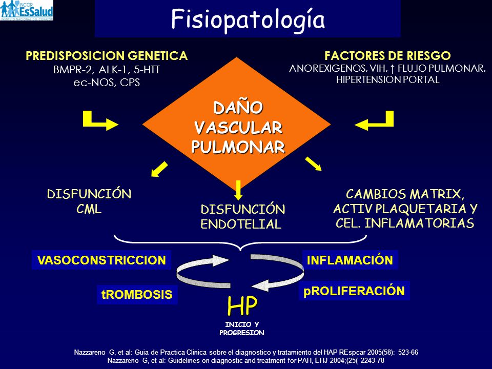 Disfunción endotelial e hipertensión pulmonar Disfunción endotelial e hipertensión pulmonar